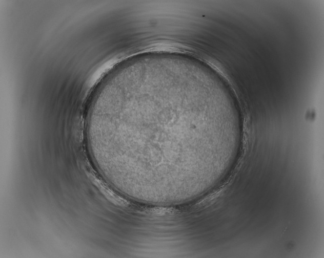 X0000114611067200911101147