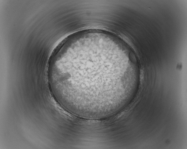 X0000114611068200911101147