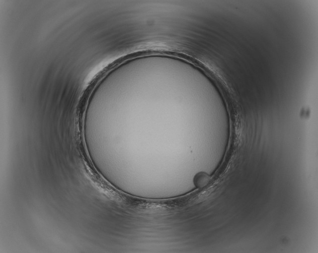 X0000114611070200911101147