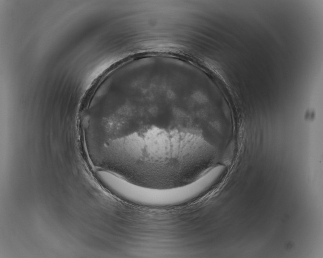 X0000114611071200911101147