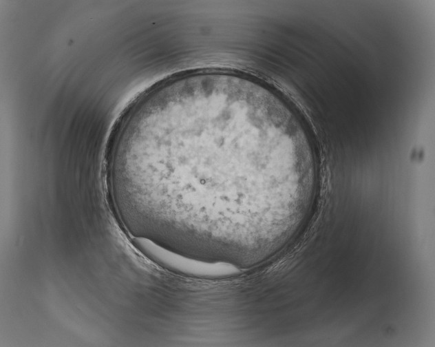 X0000114611072200911101147