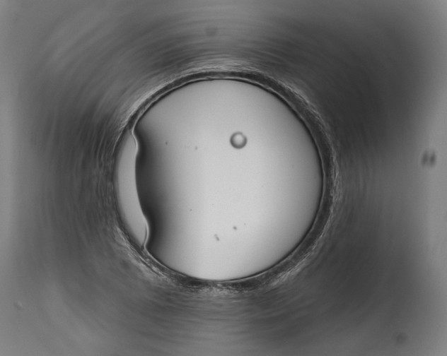 X0000114611073200911101147