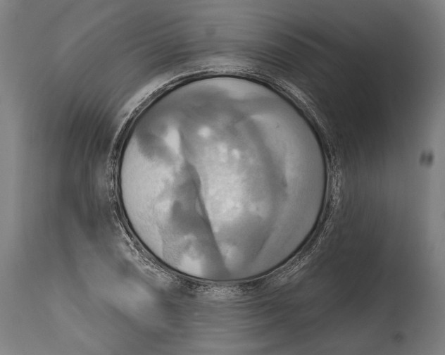 X0000114611074200911101147