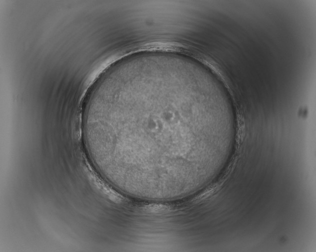 X0000114611075200911101147