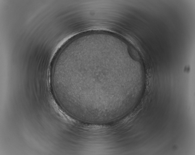 X0000114611076200911101147