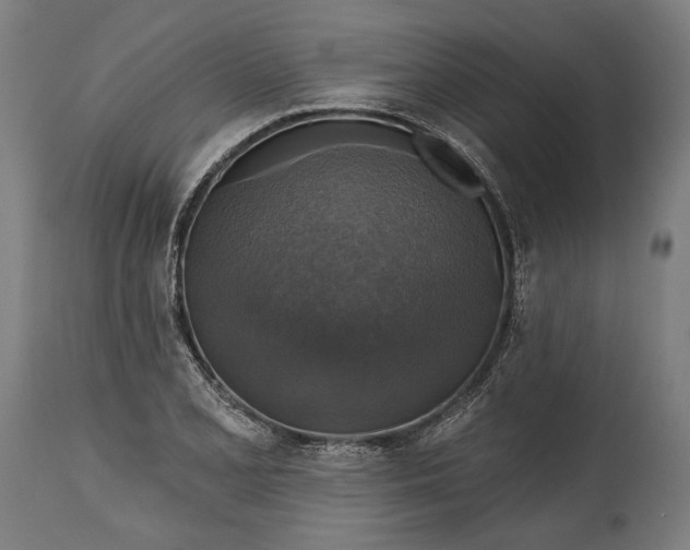 X0000114611077200911101147