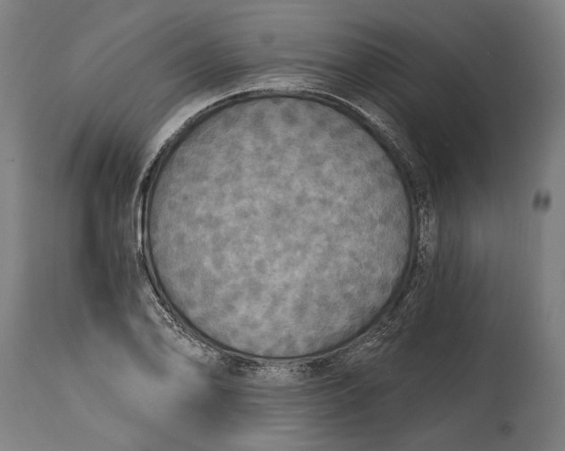 X0000114611078200911101147