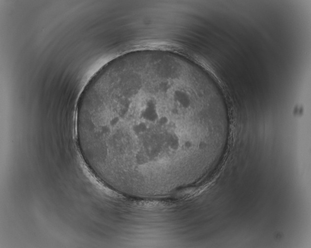 X0000114611079200911101147