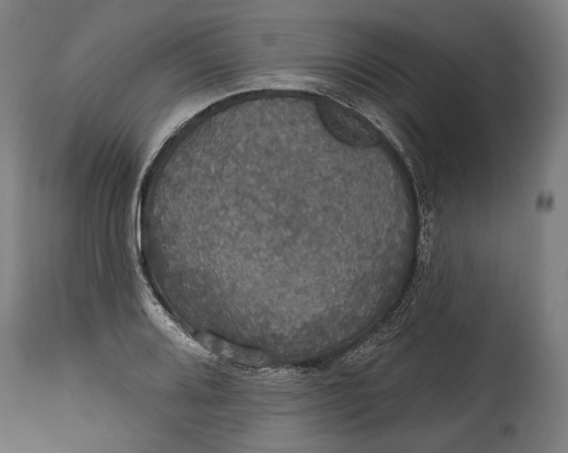 X0000114611080200911101147