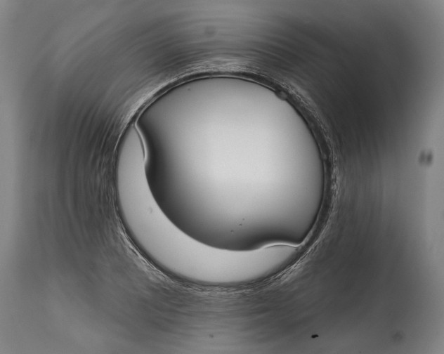 X0000114611081200911101146