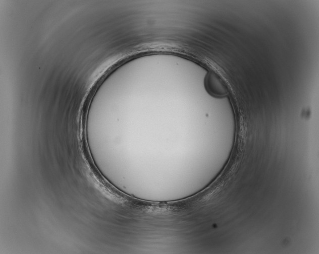 X0000114611082200911101146