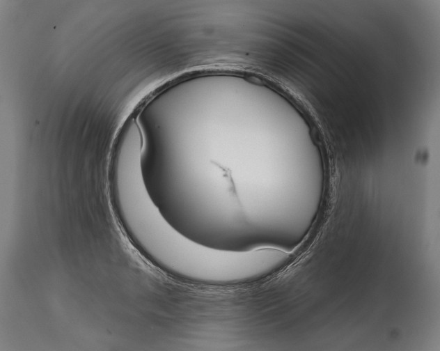 X0000114611085200911101146