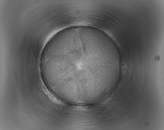 X0000114611086200911101146