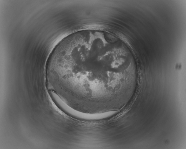 X0000114611087200911101146