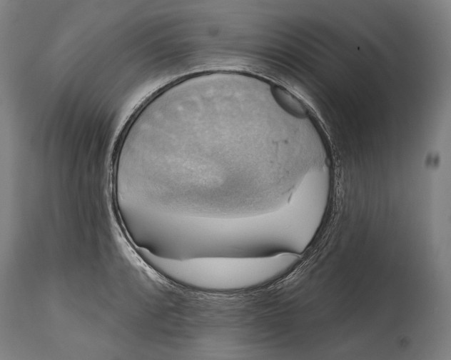 X0000114611088200911101146