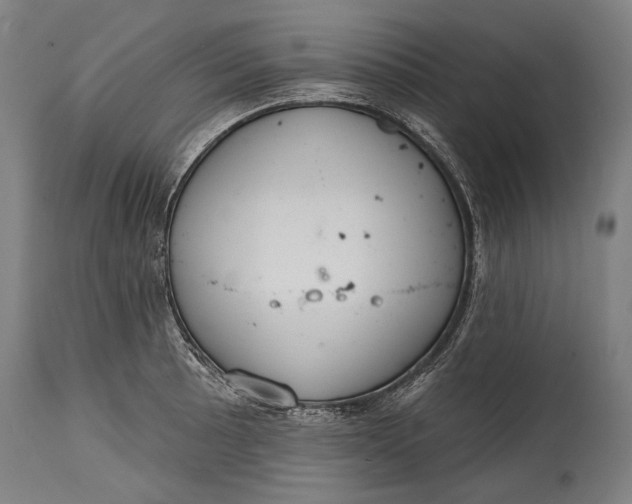 X0000114611089200911101146