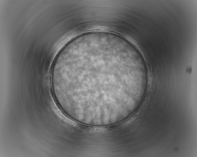 X0000114611090200911101146