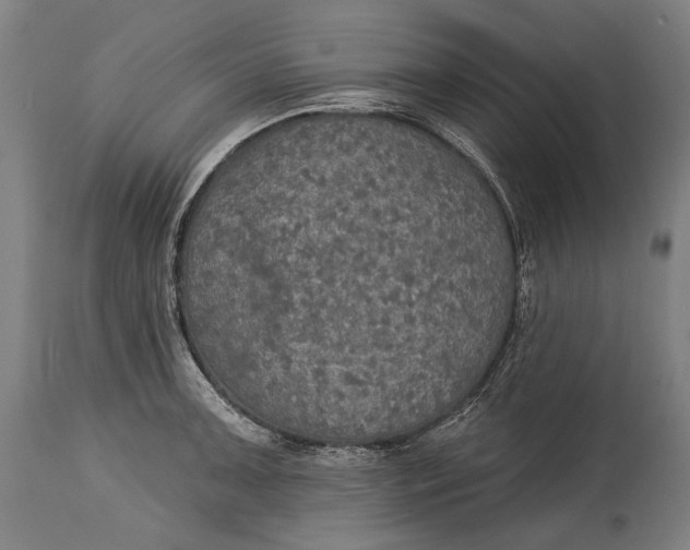 X0000114611091200911101146