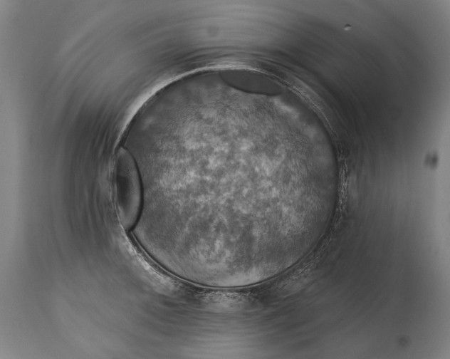 X0000114611092200911101146