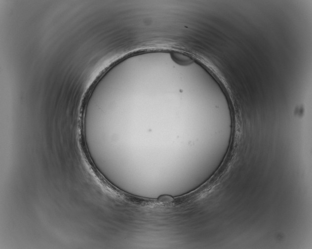 X0000114611093200911101146