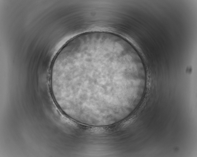 X0000114611094200911101146