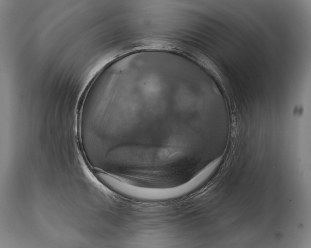 X0000114611095200911101146