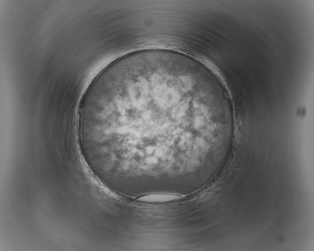 X0000114611096200911101146