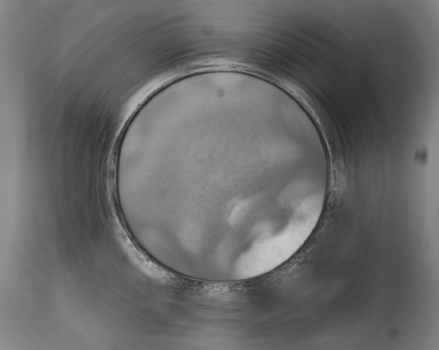 X0000114611098200911101146