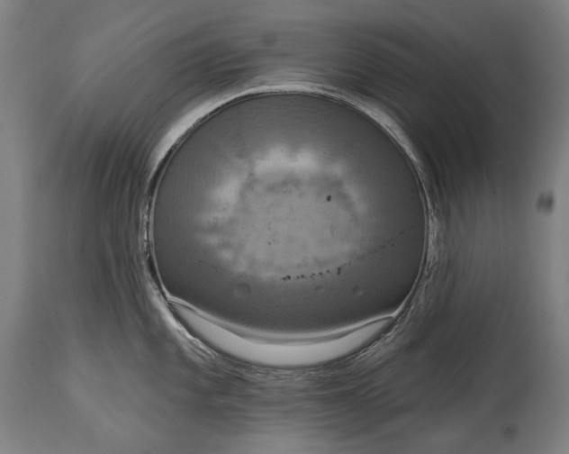 X0000114611101200911101146