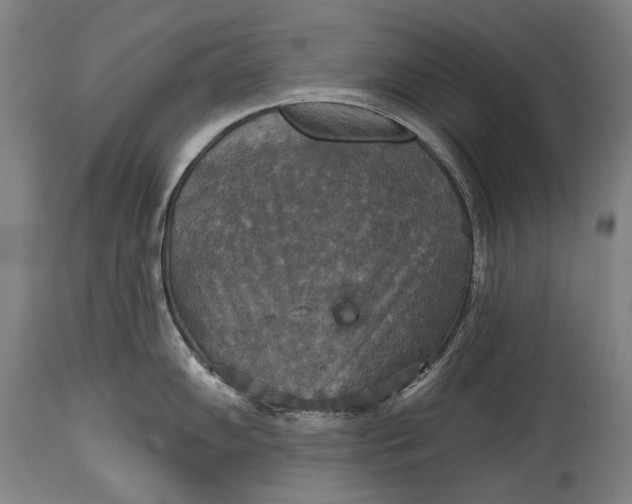 X0000114611102200911101146