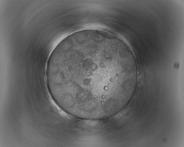 X0000114611103200911101146