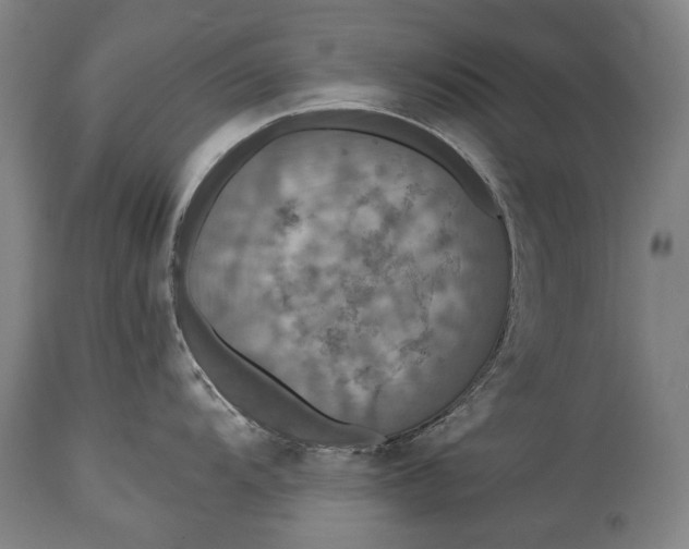 X0000114611104200911101146