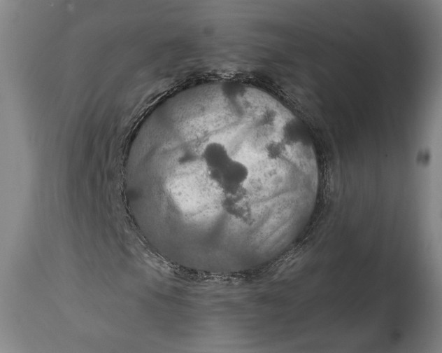 X0000114611105200911101145