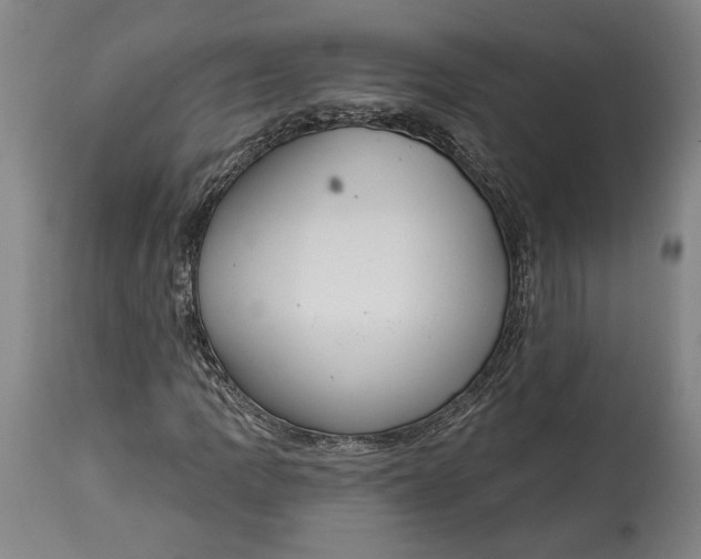 X0000114611109200911101145