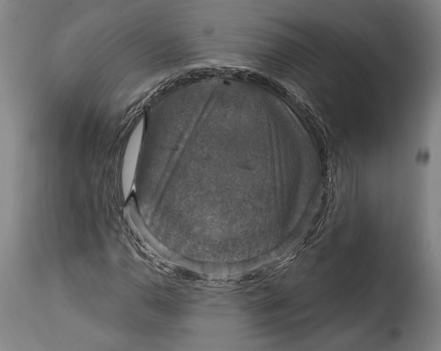 X0000114611110200911101145