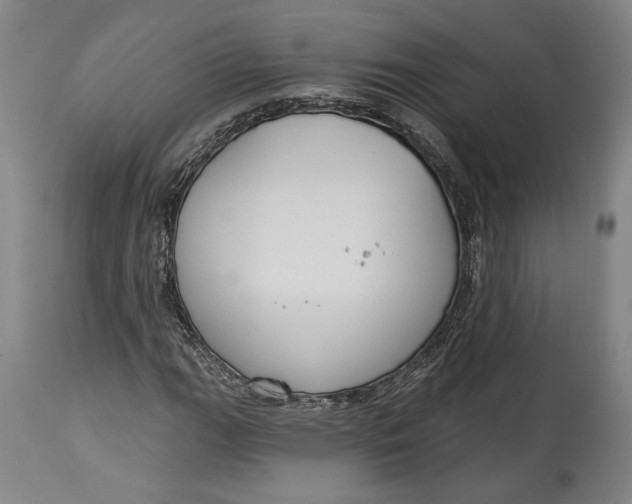 X0000114611111200911101145