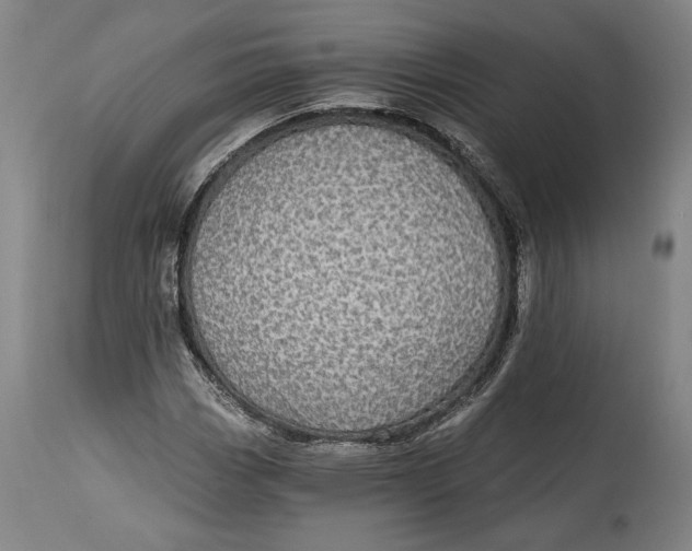 X0000114611113200911101146