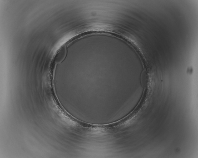 X0000114611114200911101146