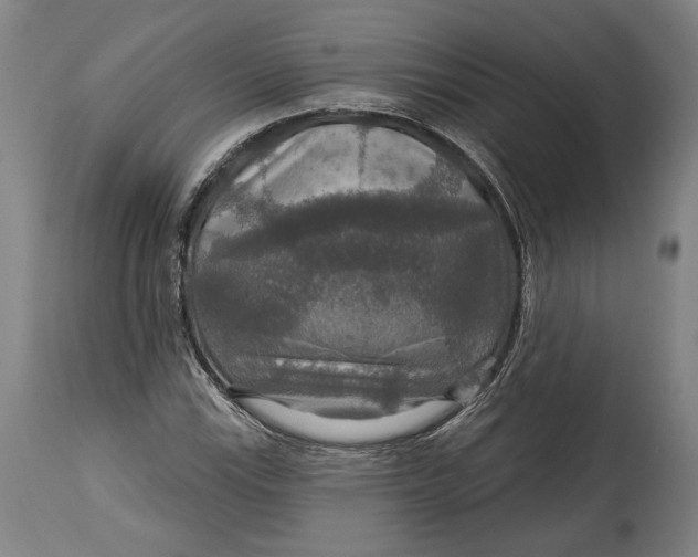 X0000114611115200911101146