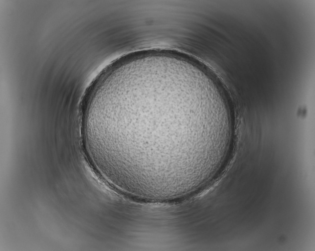 X0000114611118200911101146