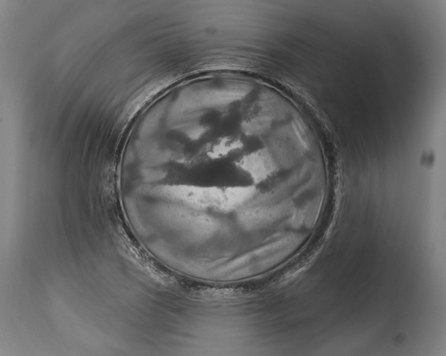 X0000114611121200911101146