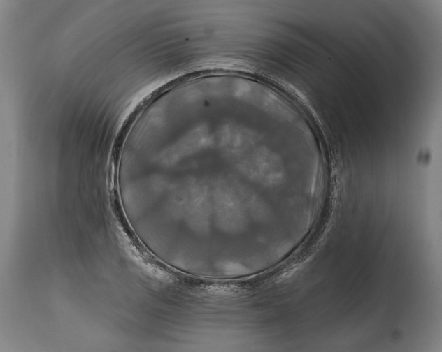 X0000114611125200911101146