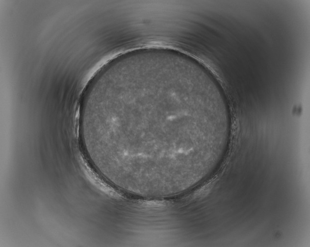 X0000114611126200911101146