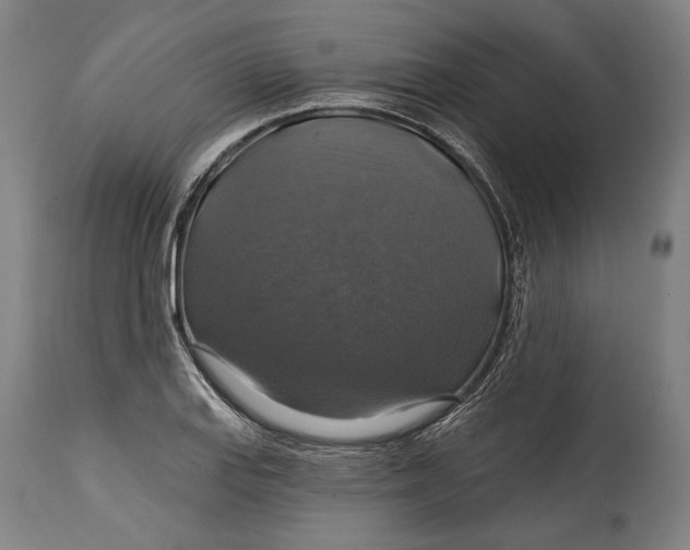 X0000114611127200911101146