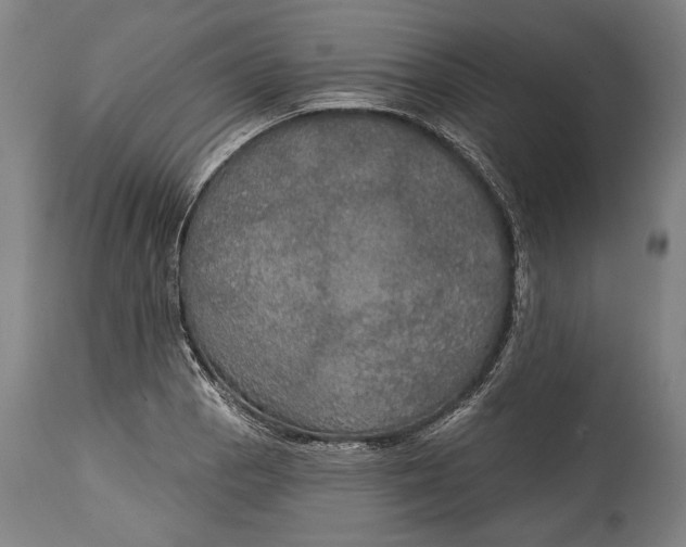 X0000114611129200911101146