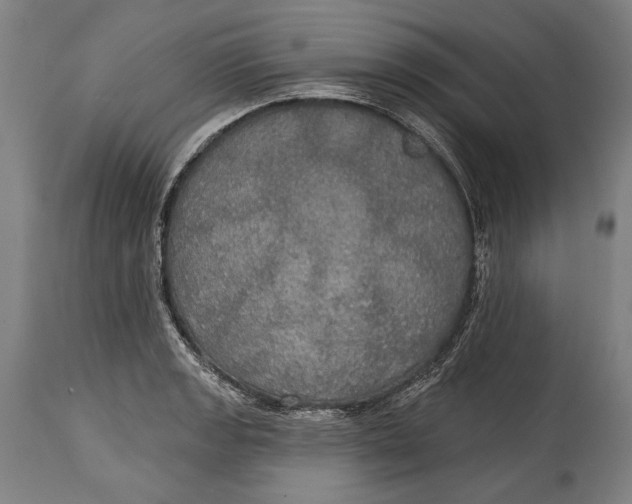 X0000114611133200911101146