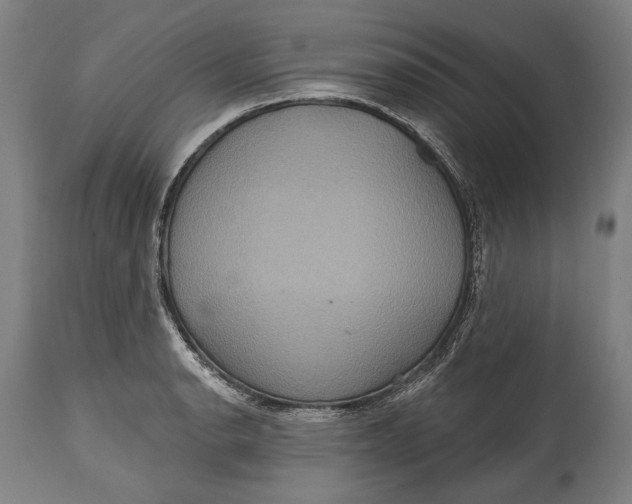 X0000114611134200911101146