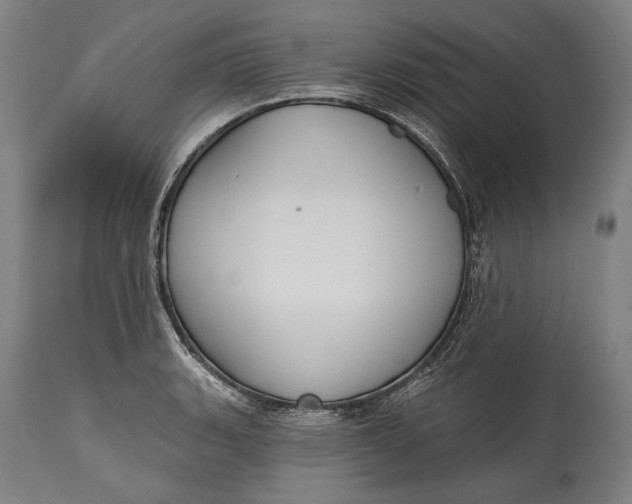 X0000114611135200911101146