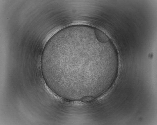 X0000114611137200911101146