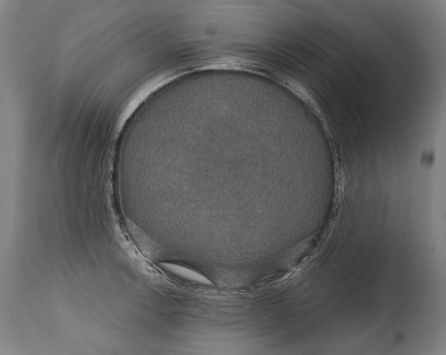 X0000114611138200911101146